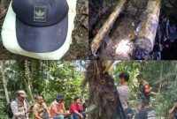 Tim SAR gabungan didalam hutan beserta topi dan bengkahan kayu yang ditemukan, (10/1/2023)