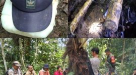 Tim SAR gabungan didalam hutan beserta topi dan bengkahan kayu yang ditemukan, (10/1/2023)