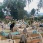 Peziarah sedang membersihkan makam keluarga yang meninggal dunia di TPU Kelurahan Sipolu-polu, Sabtu (18/3/2023).