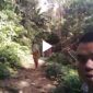 Tangkapan layar video, Jalan sentra perkebunan Desa Banjar Malayu Kecamatan Batang Natal rusak, Sabtu (17/6/2023).
