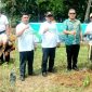 Kepala Bencana Penanggulangan Bencana Daerah Pemkab Mandailing Natal Mukhsin Nasution melakukan penanaman pohon pada kegiatan Penanaman 10 Juta Pohon serentak bersama 5 Kabupaten/Kota di Tabagsel, Kamis (23/11/2023). Foto: BPBD Madina.
