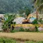 Tangkapan kamera lokasi tambang emas di Kotanopan, Madina. (ist)