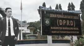 Caleg NasDem, Wildan Lubis, SH siap menuju 1 kursi di DPRD Mandailing Natal (ilustrasi). [Foto edit : Joki Nasution dan Google Search]