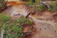 Kawasan terkena limbah minyak di Desa Balimbing Kecamatan Natal, Madina. (Ist)