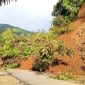 Kondisi tanah longsor di antara Desa Hutatua dan Hutabangun di Kec. Panyabungan Timur, Senin (7/10/2024) sore. [Foto: Mulyadi Jambak].