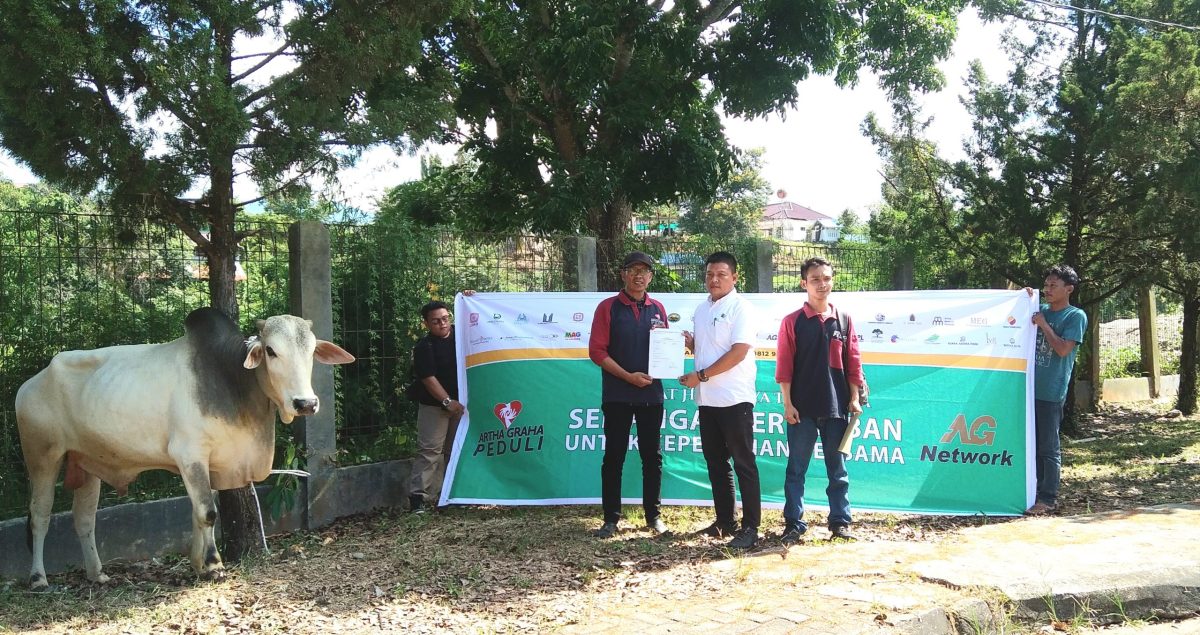 Kabag Kesra Pemkab Madina, Bahruddin Juliadi menerima penyerahan hewan kurban dari CSR perusahaan Artha Graha, Rabu (4/06/2025). [Foto: Joki Nasution].