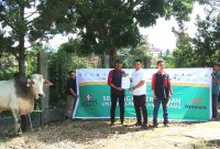 Kabag Kesra Pemkab Madina, Bahruddin Juliadi menerima penyerahan hewan kurban dari CSR perusahaan Artha Graha, Rabu (4/06/2025). [Foto: Joki Nasution].