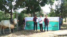 Kabag Kesra Pemkab Madina, Bahruddin Juliadi menerima penyerahan hewan kurban dari CSR perusahaan Artha Graha, Rabu (4/06/2025). [Foto: Joki Nasution].