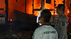 Oplus_16908288