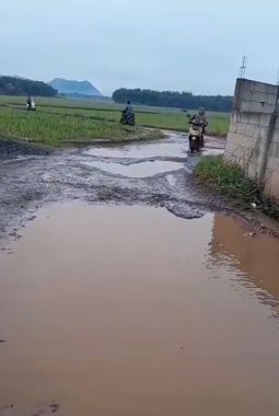 Jalan Penghubung Tiga Desa di Plered Berlubang dan Tergenang Air, Warga Harap Perhatian Serius Pemkab Purwakarta