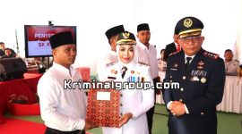Oplus_16908288