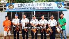 Oplus_16908288