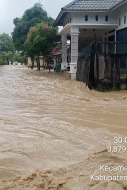Luapan Sungai Ranto Puran Rendam 5 Desa Di Kecamatan Panyabungan