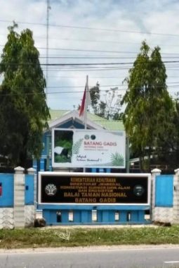 Balai TNBG Madina, Masih Mengatur Strategi Untuk Penindakan PETI Di Kawasan Hutan Konservasi