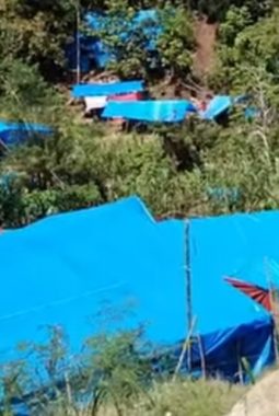 Pekerja PETI Meninggal Ditimpa Pohon Aren, Polisi Lakukan Penyelidikan