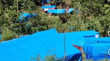 Pekerja PETI Meninggal Ditimpa Pohon Aren, Polisi Lakukan Penyelidikan