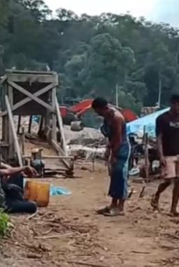 Hutan Konservasi TNBG Mandailing Natal Dijarah Penambang Ilegal Dari Pasaman Barat