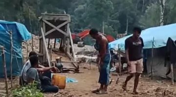 Hutan Konservasi TNBG Mandailing Natal Dijarah Penambang Ilegal Dari Pasaman Barat