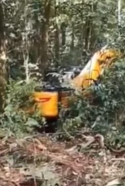 Balai TNBG Dibiayai Negara Miliaran Rupiah, Pelaku PETI Dari Pasaman Barat Terus Mengeruk Kekayaan Alam Mandailing Natal