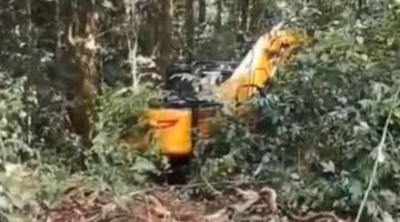 Balai TNBG Dibiayai Negara Miliaran Rupiah, Pelaku PETI Dari Pasaman Barat Terus Mengeruk Kekayaan Alam Mandailing Natal