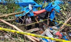 Korban Tewas Ditimpa Pohon Aren, Pemilik Lahan dan Pemodal PETI Simpang Tolang Terancam Pidana Berat