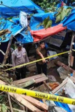 Korban Tewas Ditimpa Pohon Aren, Pemilik Lahan dan Pemodal PETI Simpang Tolang Terancam Pidana Berat