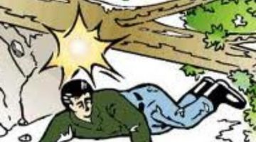 Seorang Pekerja PETI Di Desa Simpang Tolang Tewas Ditimpa Pohon Aren