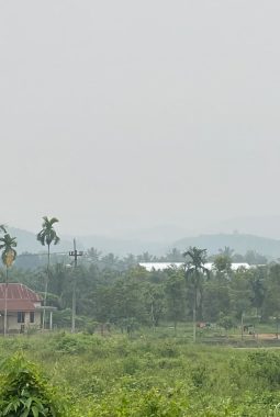 Kabut Asap Selimuti Madina, Disdikbud Madina Perpanjang Pelaksanaan PJJ, Modifikasi Cuaca Telah Dilaksanakan